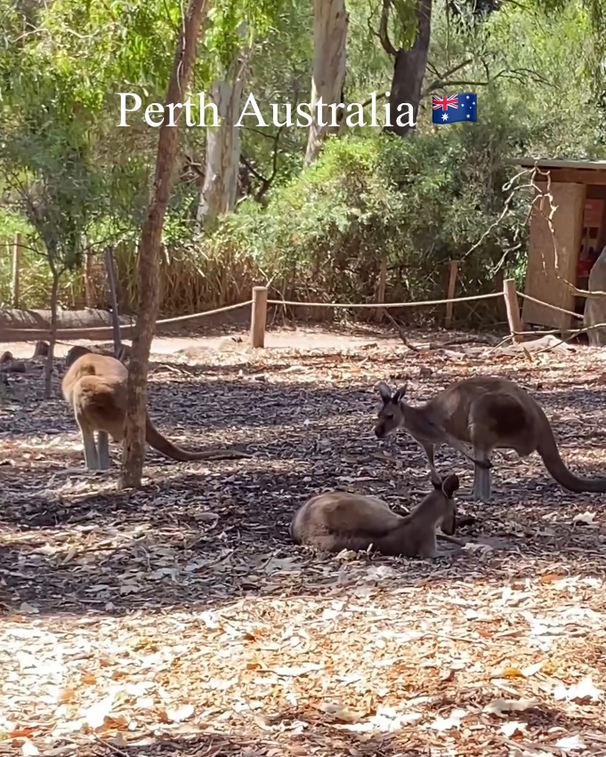 When Are You Most Happy?